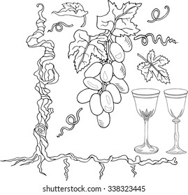 Hand drawn set with grapevine, grapes, grape leaves and 2 glasses of wine. Contour only. Vector.