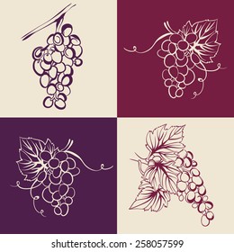 hand drawn set with grapevines.