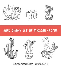 Hand drawn set with green Mexican cactus. Different cactus with flowers. Latin American cactus. Vector illustration. Round cactus, big cactus. Succulent Garden, latin american city