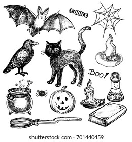 hand drawn set halloween collection on a white background
