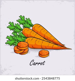 Hand drawn set of healthy organic full and sliced carrots with green leaves on top, rich of vitamins