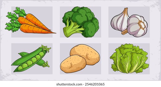 Hand drawn set of healthy organic vegetables carrots, broccoli, garlic, potato, lettuce,  pea pods