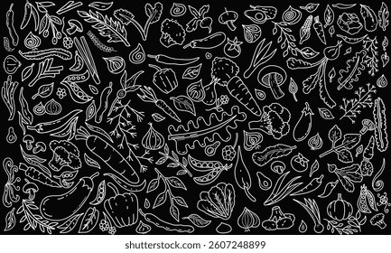 Hand drawn set of healthy vegetable ingredients in vector