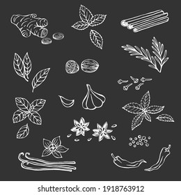 Hand drawn set with herbs and spices. Design elements isolated on white. Cooking icons. Vector illustration.