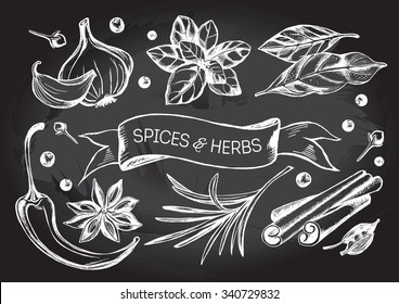 Hand drawn set of herbs and spices - garlic, hot pepper, bay leaf, basil, cardamom, cloves, rosemary, black pepper, cinnamon sticks and star anise. Vector Illustration.