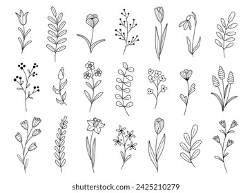 Hand drawn set of herbs and wild flowers. Spring summer floral elements. Vector illustration.