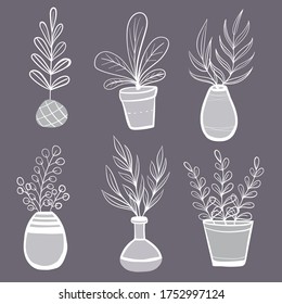 Hand drawn set of home plants in flower pots and vases
