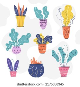 hand drawn set of home plants in scandinavian style. interior design and home decoration
