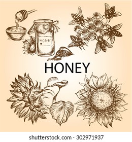 "hand drawn set honey collection" for design