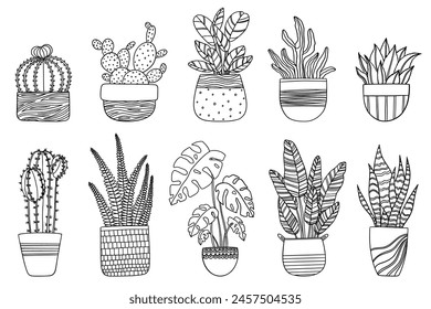 Conjunto dibujado a mano de plantas de la casa en macetas, dibujo de garabato de perfil de moda de monstruos, suculentas, palma de plátano, cactus. Elemento de diseño aislado