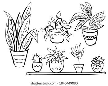 Hand drawn set of housplants isolated on white background. Cute plants in pots vector illustration.