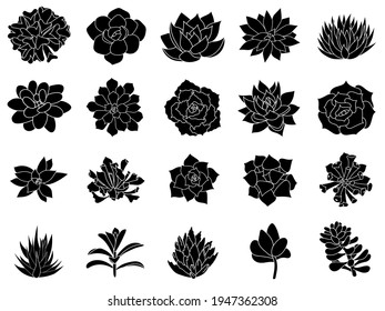 Hand drawn set icon. Succulents in style simple. Graphics sketch home desert flower. Vector illustration, isolated black elements on a white background