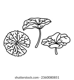 Hand drawn set illustrations of mint leaves isolated on white background