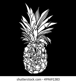 Hand drawn set illustrations of ripe pineapples. Exotic tropical fruit vector drawings isolated on white background.