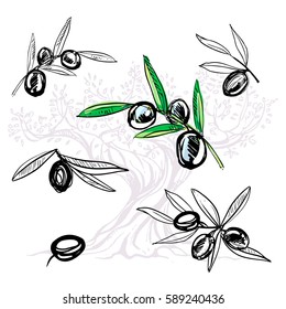 hand drawn set of ink olive branch, leaves. vector eps 8