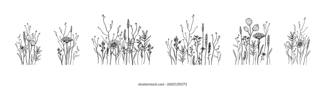 Hand drawn set, isolated compositions of wild field flora, flowers, herbs, plants, branches, Minimal botanical line art for nature backdrop, tattoo, invitations, floral border, place for text, banner