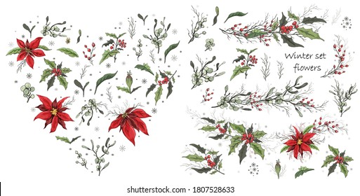 handgezeichnet, einzelne Blumen auf weißem Hintergrund. realistische botanische Doodles. moderne Blumen (Poinsettia, weißer Mistelwein, Holly), Elemente für die Blumendekoration der Wintersaison.