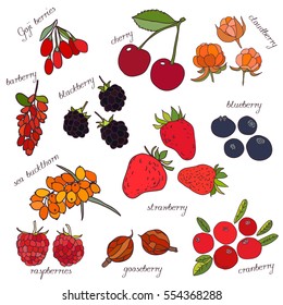 Hand drawn set of juicy berries. Cranberry,cloud berry,Goji berries, strawberry,blackberry, blueberry, goose berry, barberry