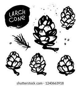 Hand drawn set of larch or fir cones. Black and white sketch illustration