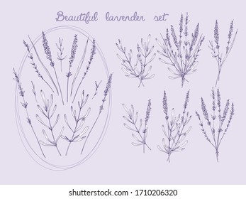 Hand drawn set of lavender flowers