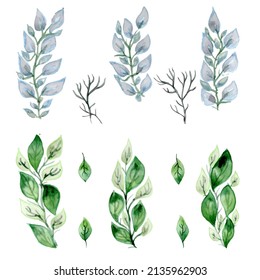 Hand drawn set with leaves and branches