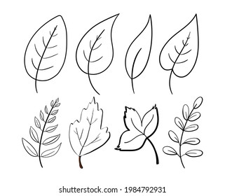 Hand drawn set of leaves coloring isolated on white background. Vector botanical illustration. Hand-drawn doodle herbal elements. Spring and summer plant vector in line art or outline style. 