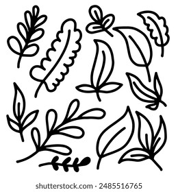 hand drawn set leaves in doodle style.  Natural elements with a line for stickers, decor, postcard.