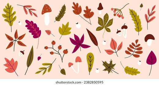 Hand drawn set of leaves. Vector fall elements. Leaves, mushrooms, acorns, maple leaves isolated on pink background. Autumn collection of different leaves. Banner for seasonal holidays.
