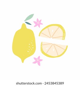 Hand drawn set of lemon fruit isolated on white background. Vector illustration