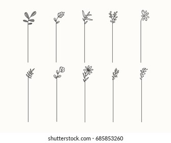 Hand Drawn Set Of Line Frames On A White Background. Sketch Elements Of Floral And Herbs Ornaments For Banner Design. Line Border Collection. Arrows. Isolated Separators. Vintage Border. 