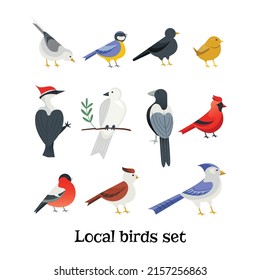 Hand drawn set of local and garden birds in flat cartoon style, isolated vector illustration