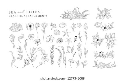 Hand drawn set of marine elements isolated on white. Sea and floral graphic and arrangements. Vector illustrations.