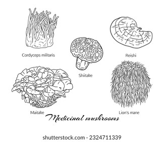 Hand drawn set of medicinal mushrooms