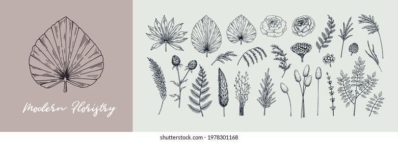 Hand drawn set of modern plants for floristry, Vector illustration in sketch style