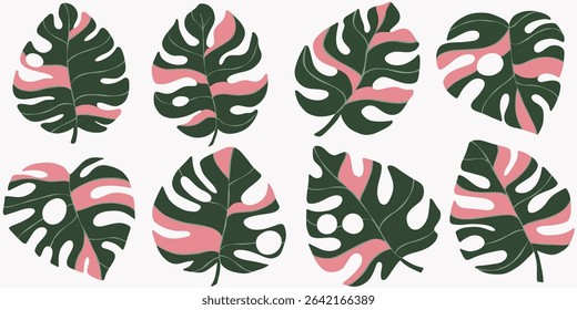 Hand drawn Set Monstera Leaf Illustration
