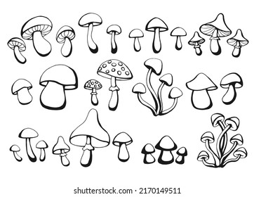 Hand drawn set of mushrooms. Outline drawing. Vector illustration. Black and white.