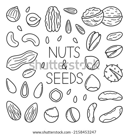 Hand drawn set of nuts and seeds doodle. Almond, hazelnut, pistachio, macadamia, cashew, walnut in sketch style.  Vector illustration isolated on white background