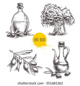 Hand drawn set of olive branch with olives, bottles with olive oil and olive tree. Sketch style vector organic food illustration.