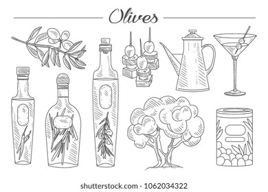 Hand drawn set of olive tree, branch, oil bottles with herbs, martini glass, tasty snacks. Fresh and natural product. Sketch style icons. Monochrome vector design
