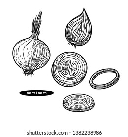 Hand drawn set of onion, half onion and pieces of onion in engraving style isolated on white background.