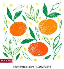 Hand drawn set of orange fruit with texture. Food element collection. Vector illustration of mandarines with leaves. Floral colorful vector elements for design.