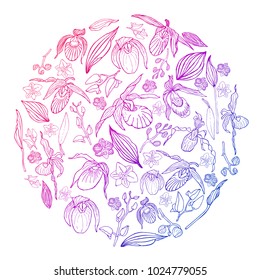 Hand drawn set of orchid flowers and floral elements in circle shape with gradient. Isolated on white. Colored vector illustration.