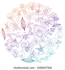 Hand drawn set of orchid flowers and floral elements in circle shape with gradient. Isolated on white. Colored vector illustration.