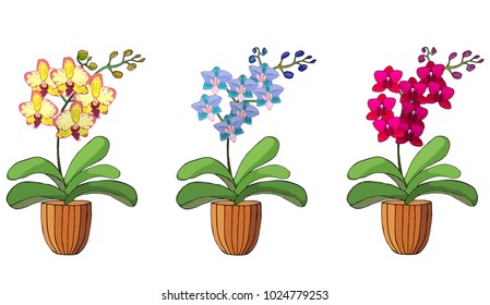 Conjunto de orquídeas dibujadas a mano en macetas. Aislado en blanco. Ilustración vectorial de color.