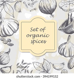 Hand drawn set of organic spices. Vector illustration