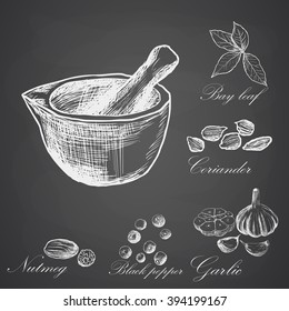 Hand drawn set of organic spices. Vector illustration