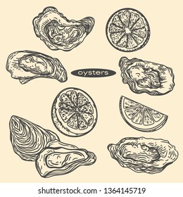 Hand drawn set of oysters and lemons in engraving style. 