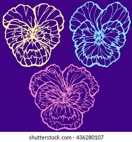 Hand drawn set of pansy flowers. Vector  line drawn pansies on a dark background.