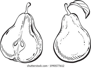 Hand Drawn set of Pears, Black and White Vector Illustrations for menu, packing, advertising, cooking book