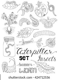 Hand drawn set with pests, larva, caterpillars, moth, worms and other invader insects isolated. Doodle line art illustration and graphic sketch, black and white vector with icons, gardening theme